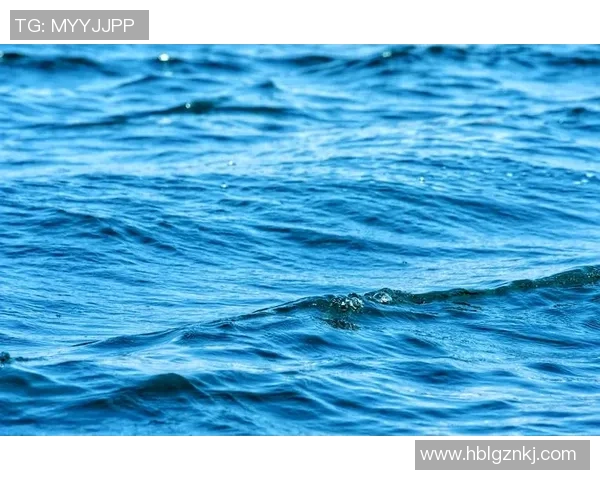 自由泳呼吸技巧解析与练习方法掌握助力提升游泳表现 自由泳呼吸技巧解析与练习方法掌握助力提升游泳表现