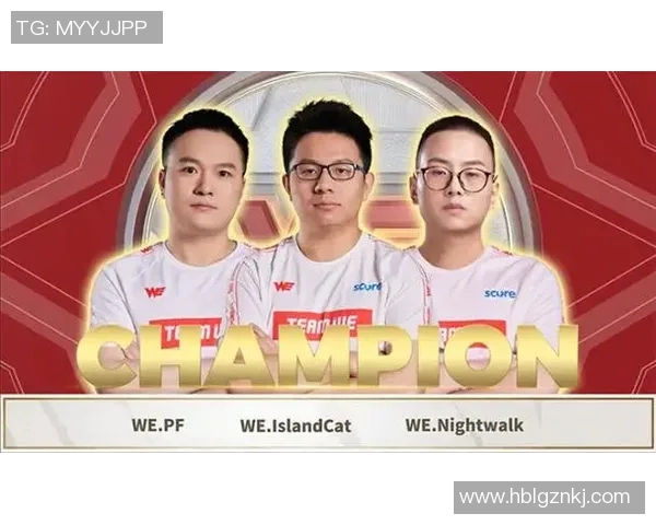 DOTA2战队WE的战术演变与团队协作深度解析