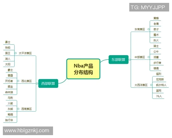 深圳篮球队运营模式分析与市场策略探讨