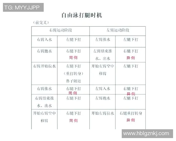 自由泳技巧提升指南：从基础动作到高级训练方法全解析