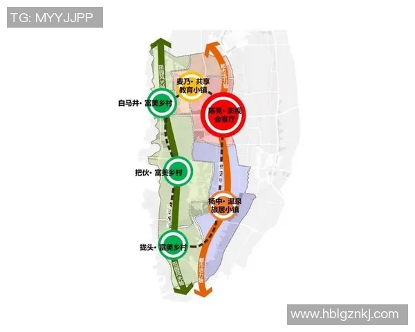 上海足球队的运营模式与发展策略深度解析 上海足球队的运营模式与发展策略深度解析