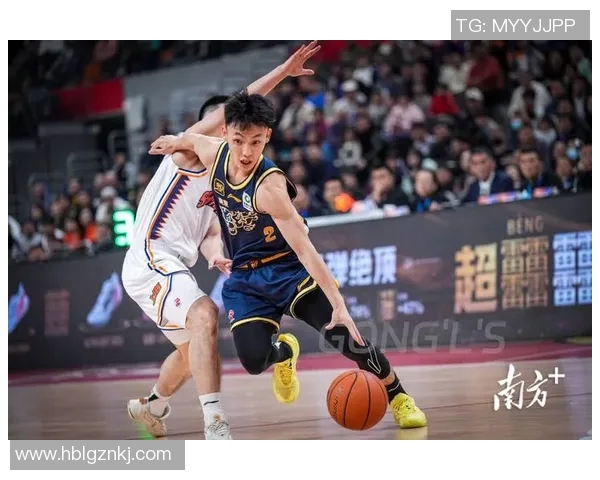 从零开始掌握篮球战术技巧全方位指南助你成为场上战术大师
